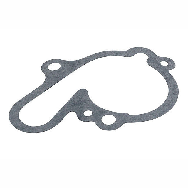 Junta bomba de agua Minarelli AM6 AllPro