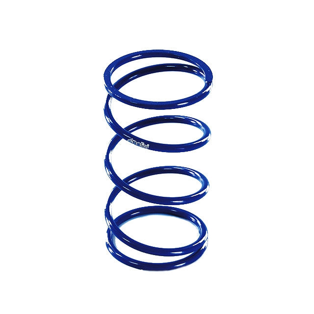 Muelle variador Kymco AK 550 Euro 4 17-20 Polini