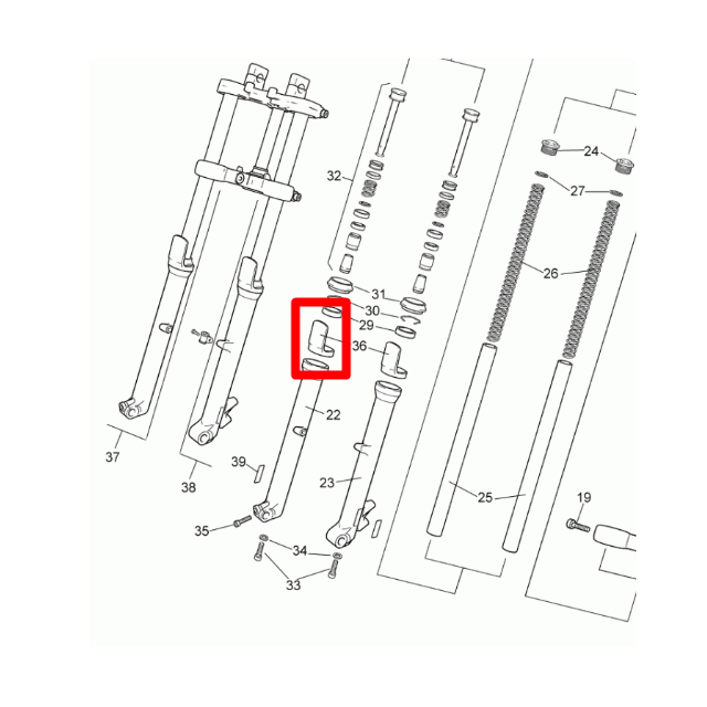 Protector retén horquilla Rieju 50-125-250 Tango - 1 unidad