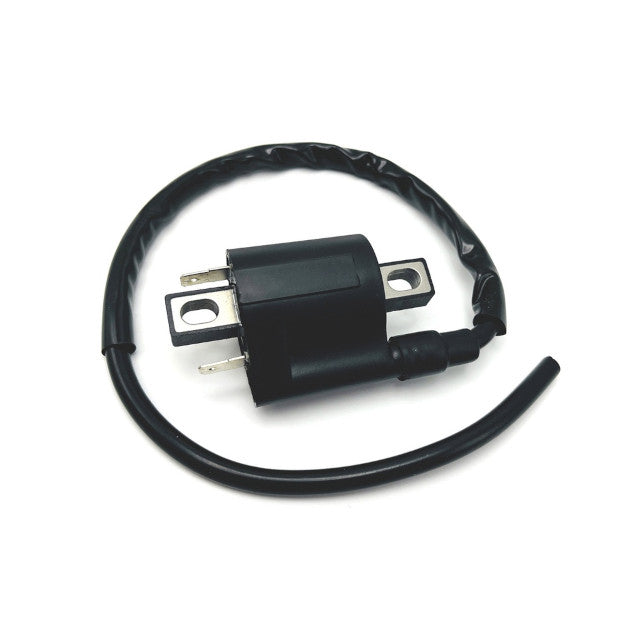 Bobina Yamaha Neo's 50 4T / X-max 125-250-400 / YBR 125 AllPro