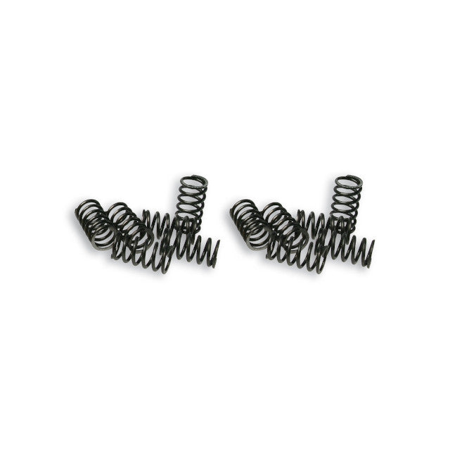 Muelles de embrague Malossi Vespa PK FL 125 2T