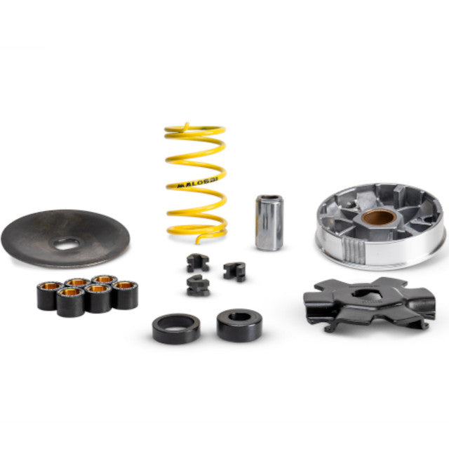 Variador Malossi Multivar Piaggio Ciao 2T