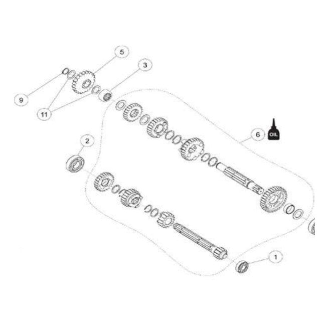 Rodamiento eje primario caja de cambios 6203 motor Daytona Anima
