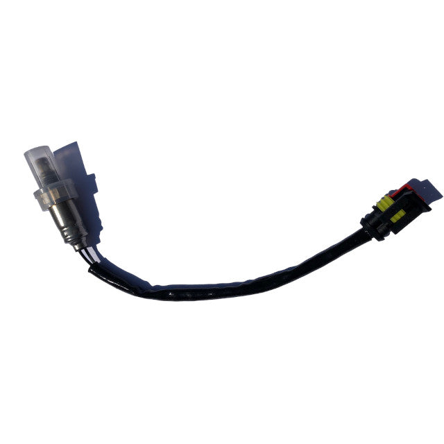 Sonda A/F para el medidor AF >2018 Koso