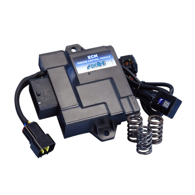 Centralita Polini ECM Piaggio Liberty / Zip 50cc 4T Euro 5