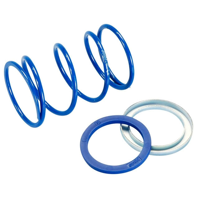 Muelle de contraste Piaggio / Minarelli EVO 4,6 Polini