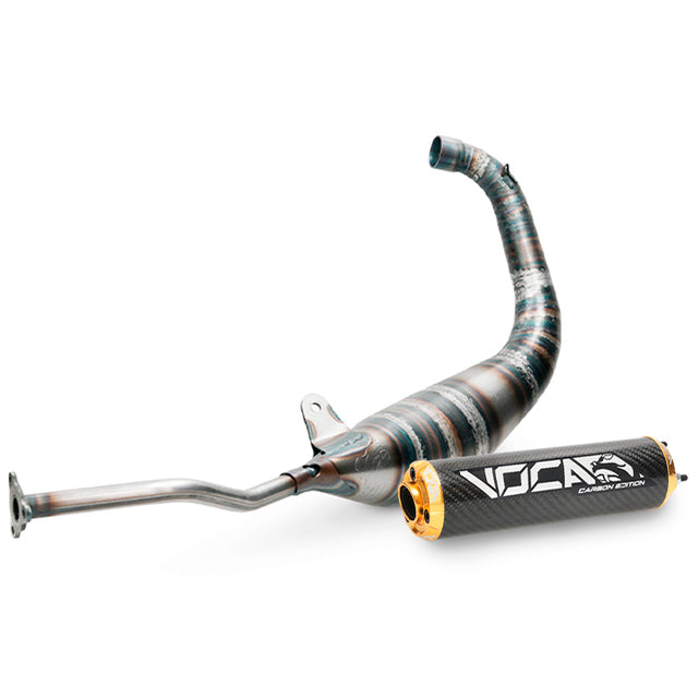 Escape Yamaha TZR >2003 / Aprilia RS 1999-2004 Racing Carbon 80cc Voca salida abajo - silenciador cazoleta oro