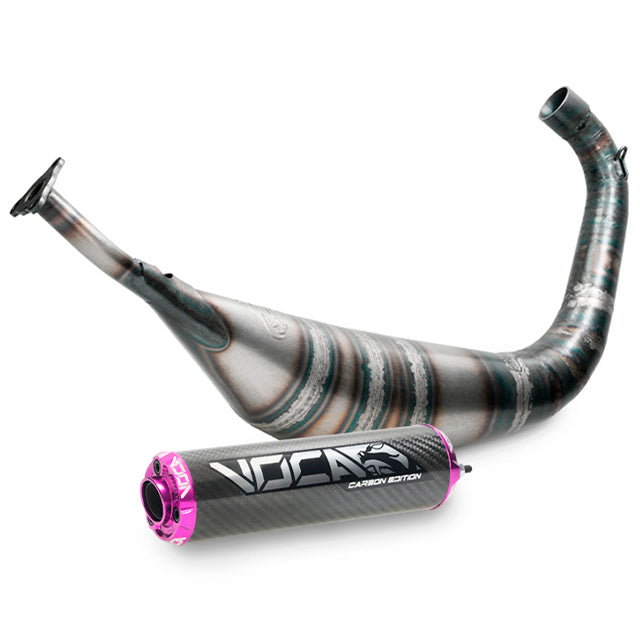 Escape VOCA Carbon 80cc Yamaha DT 80 - silenciador cazoleta violeta