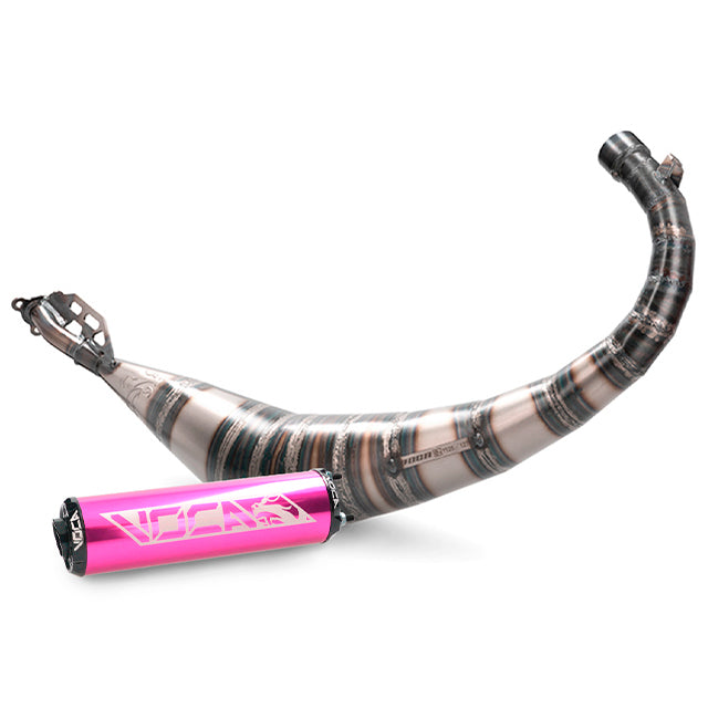 Escape Beta RR Enduro/SM 2012-2020 Voca Rookie 50/70cc (CE) silenciador violeta