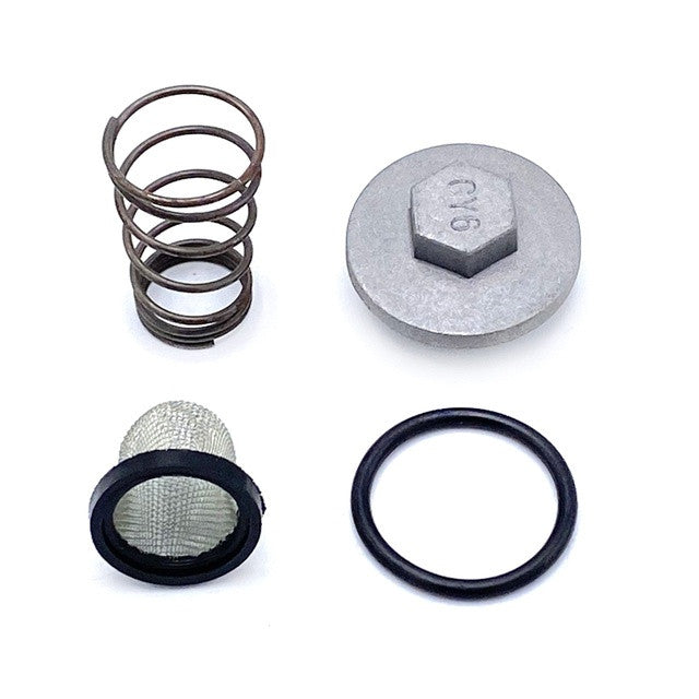 Tapón vaciado aceite de motor Honda / Kymco 50-125 motor GY6 4T AllPro