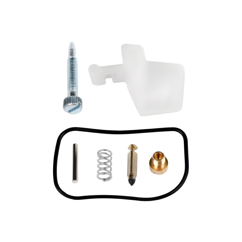 Kit reparación carburador dellorto SHA 12.12 AllPro