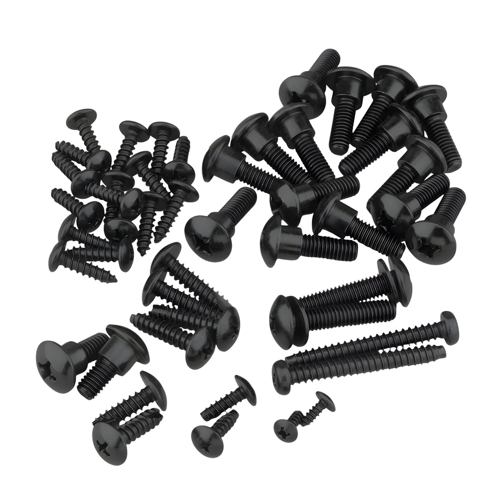 Kit tornillería Piaggio Zip >2000 Allpro