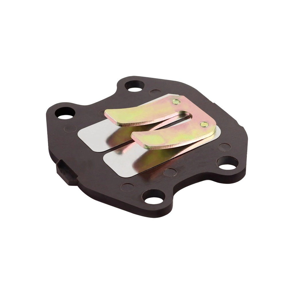 Caja de laminas Yamaha PW 50 AllPro