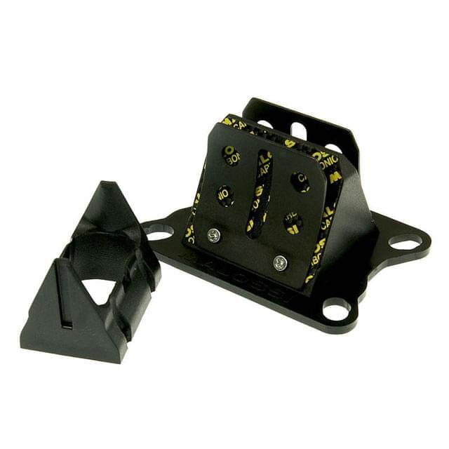 Caja de Láminas Malossi VL6 Minarelli AM6 / Derbi E2-E3-E4
