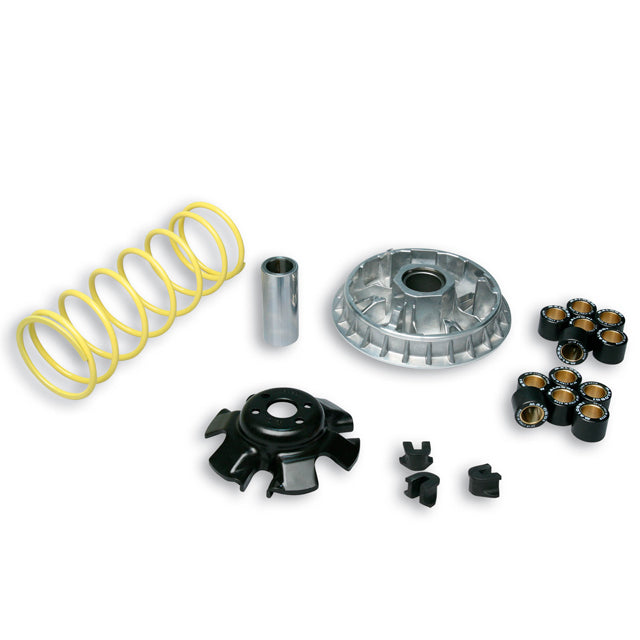 Variador Multivar 2000 Kymco KXR / MXU / MAXXER / People S 300ie / X-Citing 300cc 4T Malossi