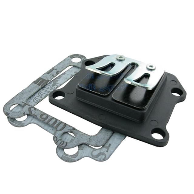 Caja de laminas Racing Polini motor Minarelli vertical