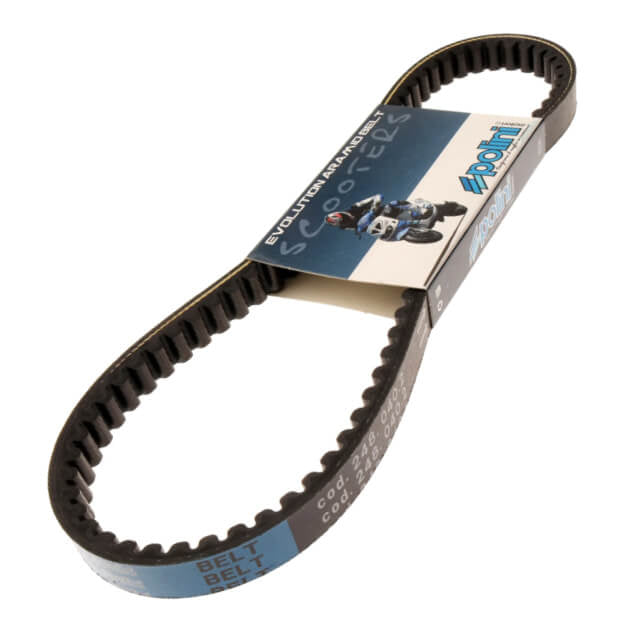 Correa Morini / Minarelli horizontal largo 50cc Polini EVO