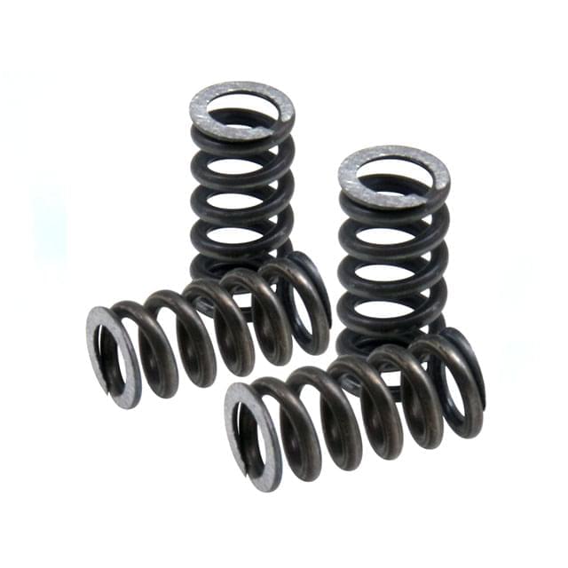 Muelles de embrague Polini Speed Clutch 2G