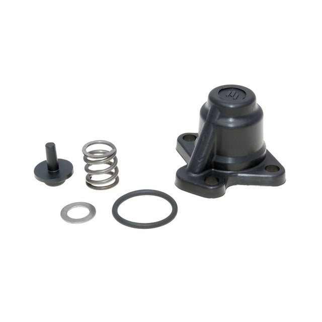 Valvula de inyección para cilindro Polini Aprilia Di-Tech Motor