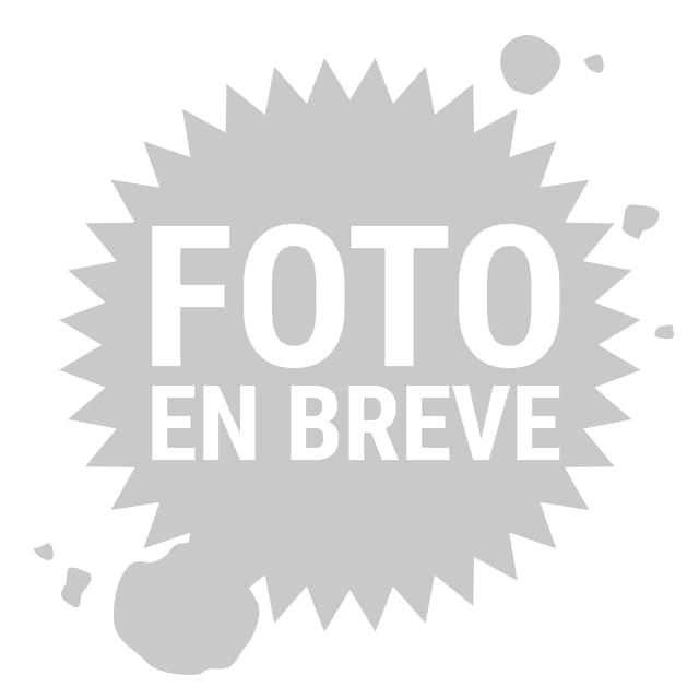 Juego de juntas Polini, cilindro (kit) (107.0028) CAGIVA Mito
