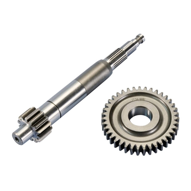 Transmisión primaria Polini Piaggio Zip 14/39