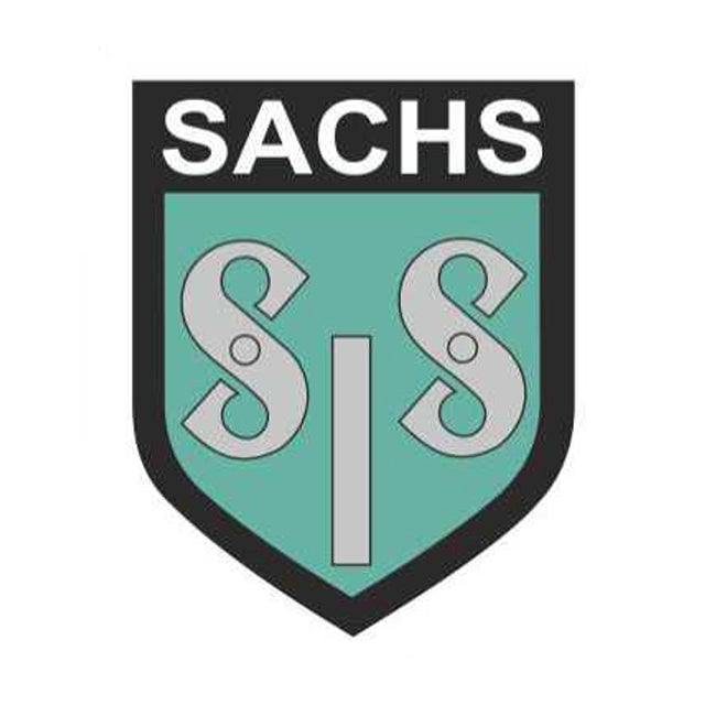 Kit pegatinas LOGO SIS - POLIESTER (PAR)