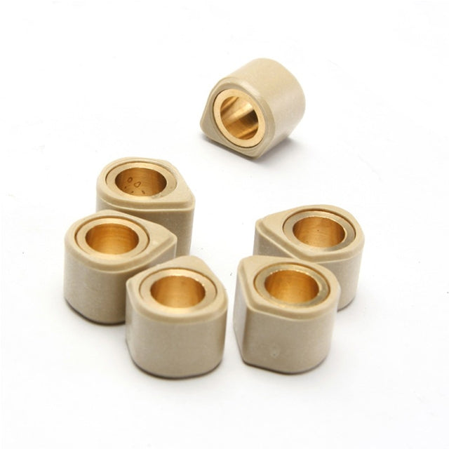 Rodillos especiales Dr.Pulley SR 25X15 14gr (8x)