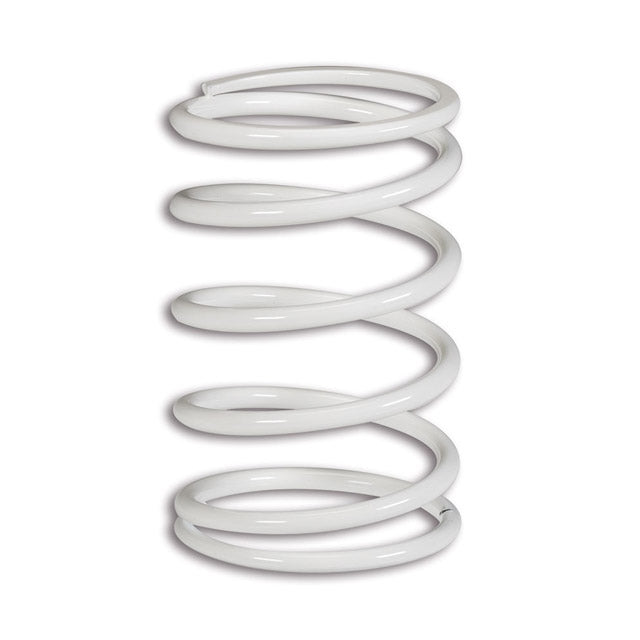 Muelle variador BMW C GT 650 ie 4T Malossi