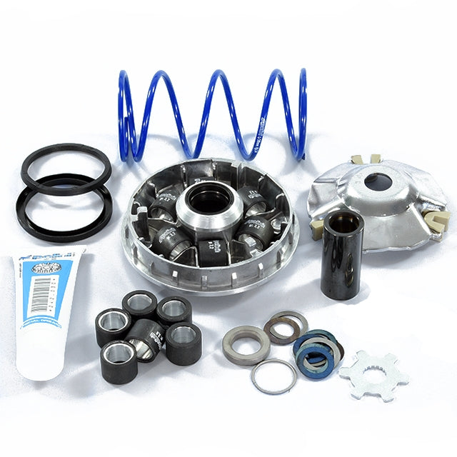 Variador Minarelli Horizontal 50 Polini Hi-Speed Evolution 2 d.16mm