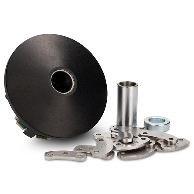 Variador Piaggio Scooter VOCA