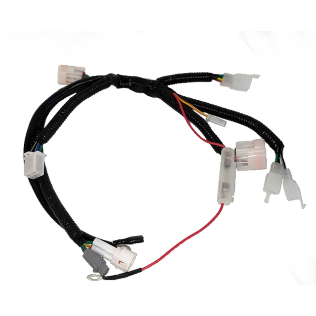 Cableado Pitbike YCF 50A >2020