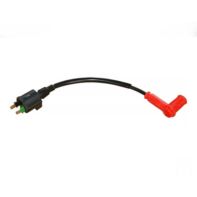 Bobina de alta 2 pins L.160mm con pipa Pitbike YCF
