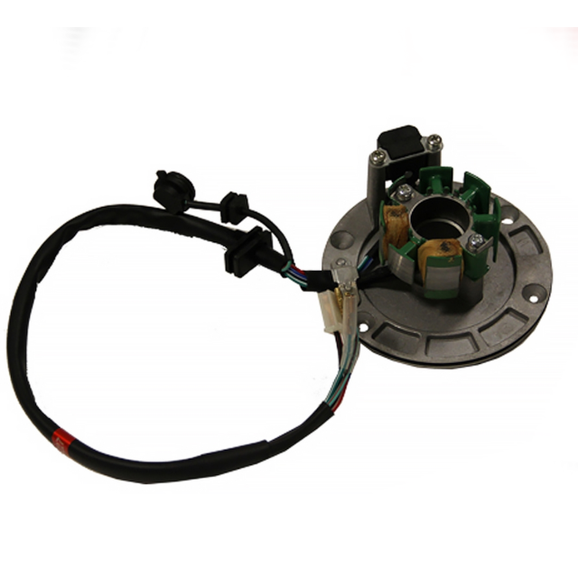 Encendido completo Pitbike motor 125-G-02 Zongshen