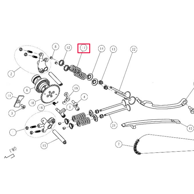 Muelle de válvula duros Pitbike Motor Daytona Anima