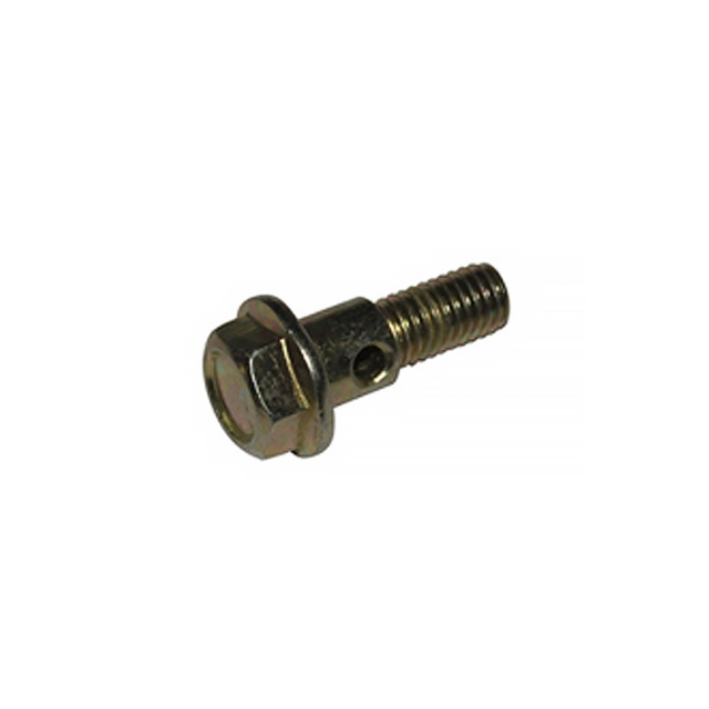 Tornillo banjo latiguillo aceite M10x22,5 Pitbike motor Daytona Anima