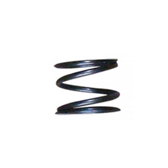 Muelle filtro de aceite Pitbike motor Daytona Anima