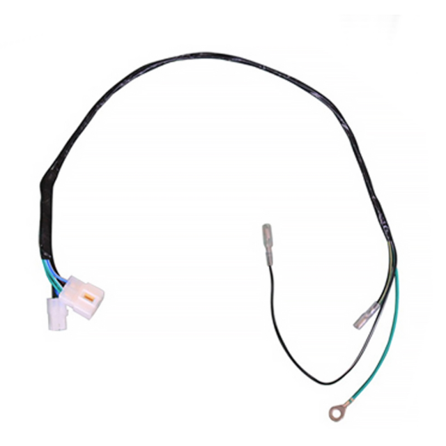 Cableado motor Daytona Anima 150 / 190cc Pitbike