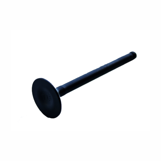 Válvula de escape YX 125 Ø21mm Pitbike YCF