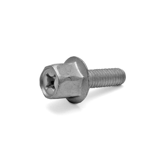 [AP10FL.166] Tornillo de escape Minarelli horizontal / vertical Allpro