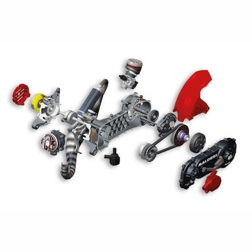 [4917550] Motor completo Piaggio RC-ONE 94cc llanta 12 / 13 Malossi
