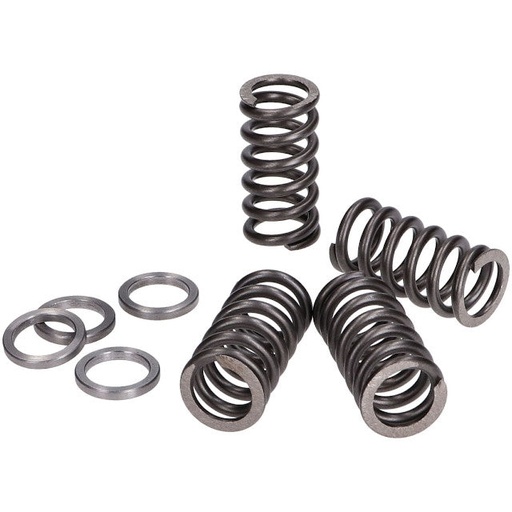 [228.0105] Muelles de embrague reforzados Minarelli AM6 Polini