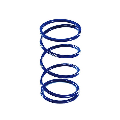 [243.110] Muelle variador Kymco AK 550 Euro 4 17-20 Polini