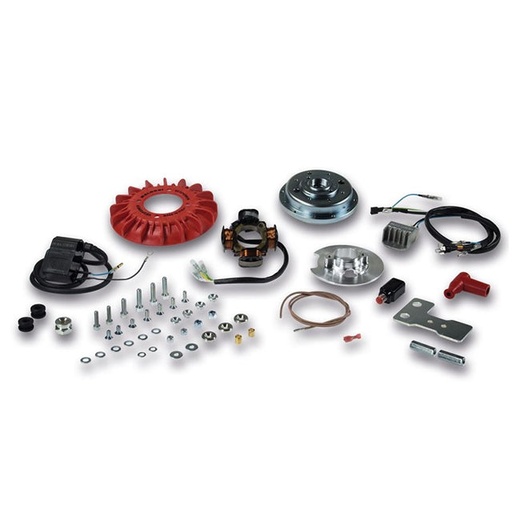 [5516951] Encendido variable Vespa Primavera/Super/SL 1,2kg Malossi