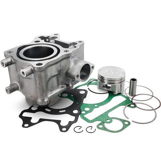[AP15CY125.571] Cilindro Honda SH 125 13-19 / PCX 12-20 125cc Allpro