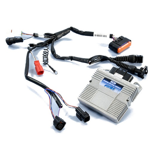 [171.0017] Centralita Polini ECM Piaggio 300 Euro 5