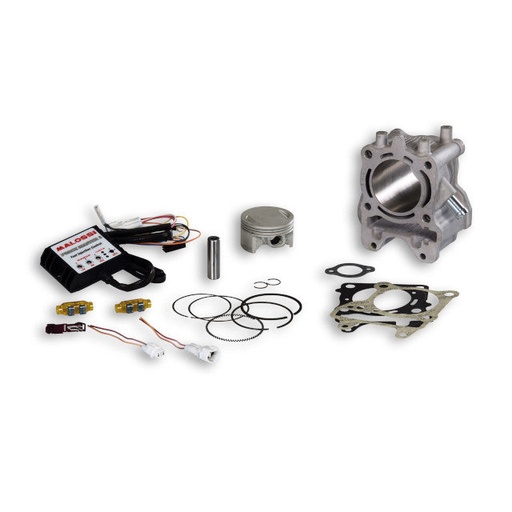 [3117560] Cilindro Honda SH 150 a 169cc 13-19 Malossi I-Tech