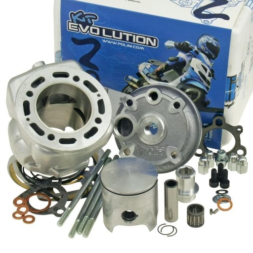 [140.0208] Cilindro Piaggio LC 94cc Polini Big Evolution 2010 C.44