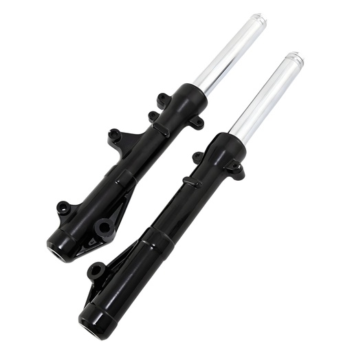 [AP60FL614] Barras de horquilla Honda PCX 125 10-17 AllPro