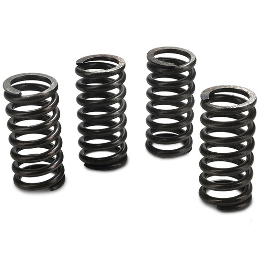 [RE2] Muelles de embrague Derbi Euro 2 / 3 / 4 MVT