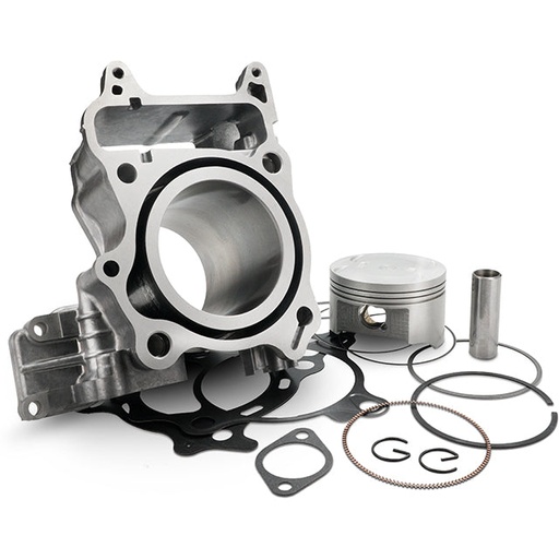 [9938500] Cilindro Honda SH 300 07-20 Top Performances